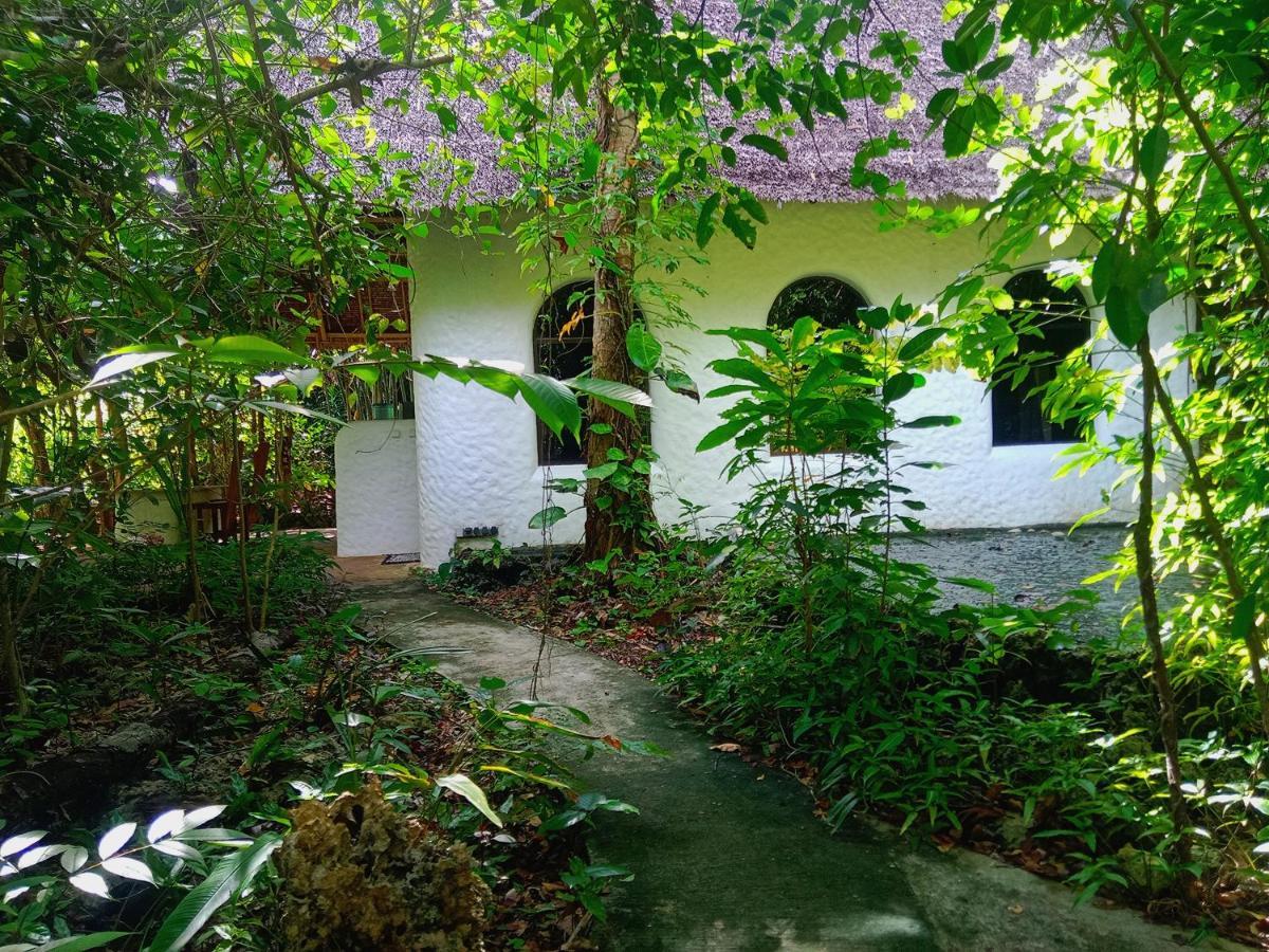 Kim'S Garden Villa Anda  Exterior photo